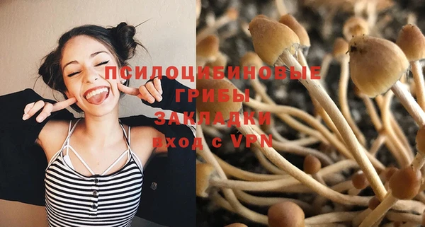 кокс Алексеевка