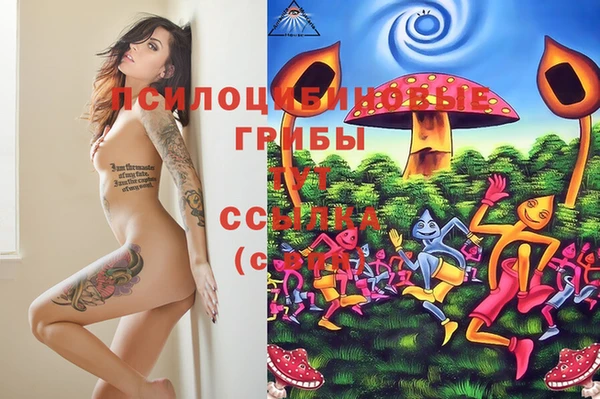 кокс Алексеевка