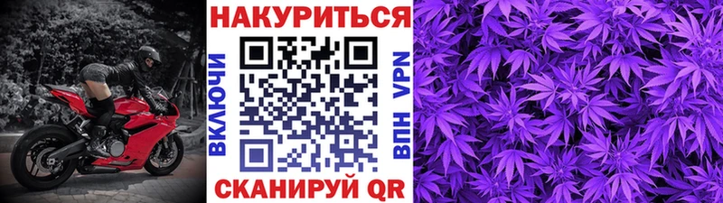 Каннабис Amnesia  Нелидово 